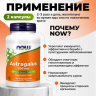 NOW FOODS ASTRAGALUS 500mg 100 капсул